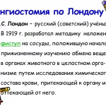 Иллюстрация №3: ВВЕДЕНИЕ В ПАТОФИЗИОЛОГИЮ (Презентации - Медицина).